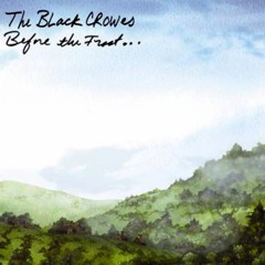 Black Crowes, The - 2009 - Before The Frost